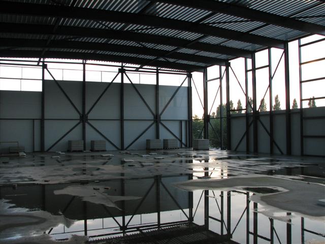 IMG_5178 (Small).JPG